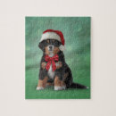 Recherche de chien de montagne bernese puzzles Mignon