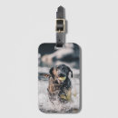 Recherche de labrador retriever noir bagages étiquettes Mignon