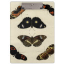 Recherche de coloré porte blocs Papillon