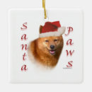 Recherche de spitz ornements Noël