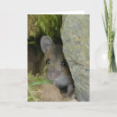 Recherche de souris de champ Nature