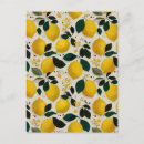 Recherche de citrons cartes postales Botanique