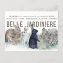 Recherche de lapin vintage cartes postales Français