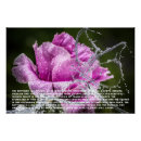 Recherche de métamorphose posters Insecte