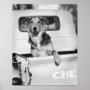 Recherche de trafic posters Jour