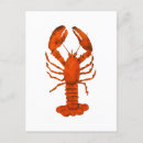 Recherche de homard rouge cartes postales Crustacés