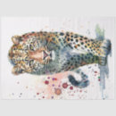 Zoek naar panter tissue papier Grote kat
