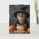 Zoek naar black cat kaarten Katje