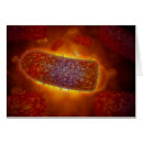 Recherche de virologie cartes postales Microorganisme