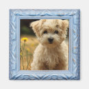 Zoek naar telefoon magneten Foto's