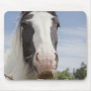 Recherche de image cheval tapis souris Animal