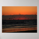Recherche de oiseaux marins posters Toute personne