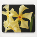 Recherche de jasmine tapis souris Fleur