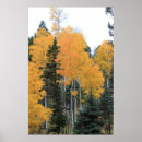 Recherche de tao posters Arbres