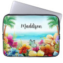 Recherche de papillons tropicaux coques Été