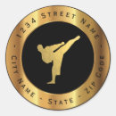 Recherche de jujitsu autocollants Karaté