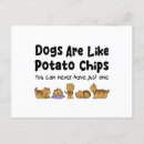 Recherche de yorkshire terrier chien cartes postales Animal
