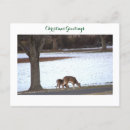 Recherche de animaux de noël cartes postales Neige