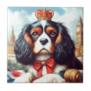 Recherche de cavalier carreaux Animal de compagnie