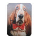 Recherche de cravates magnets Animaux