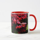 Recherche de fleur rose fuchsia tasses Tropical
