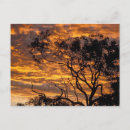 Recherche de uluru cartes postales Océanie
