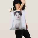Zoek naar onschuldig accessoires Schattige dieren