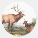 Recherche de peinture américaine autocollants Vintage