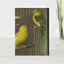 Zoek naar artistieke vogel kaarten Vogels