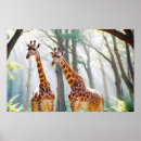 Recherche de amour girafe posters Safari