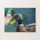 Recherche de duck puzzles Étang