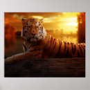 Recherche de chat du bengale posters Tigres