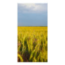Zoek naar gran posters Natuur