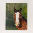 Recherche de cheval de clydesdale puzzles Photo de tête