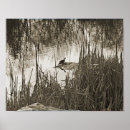 Recherche de menacé posters Faune