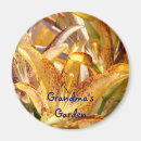 Recherche de grandes fleurs magnets Grand-mère