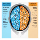 Recherche de lobe posters Cerveau