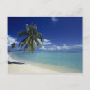 Recherche de arbre exotique cartes postales Palmier