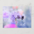 Recherche de petites abeilles cartes postales Bourdon