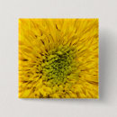Recherche de nounours badges Fleurs