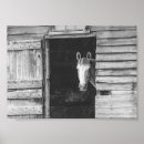 Zoek naar black horse kunst Dieren