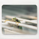 Recherche de grenouille verte tapis souris Drôle