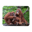 Recherche de dejeuner magnets Famille