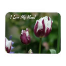 Recherche de tulipes pourpres magnets Fleur