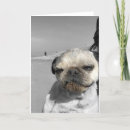 Recherche de chien sale vœux cartes Humour