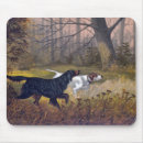 Recherche de chasse à oiseau tapis souris Dog