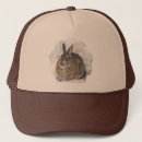 Recherche de lapins casquettes Brun