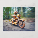 Recherche de moto cartes postales Ride