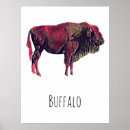 Recherche de bison de buffle posters Portrait