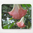 Zoek naar engelse tuin muismatten Bloem